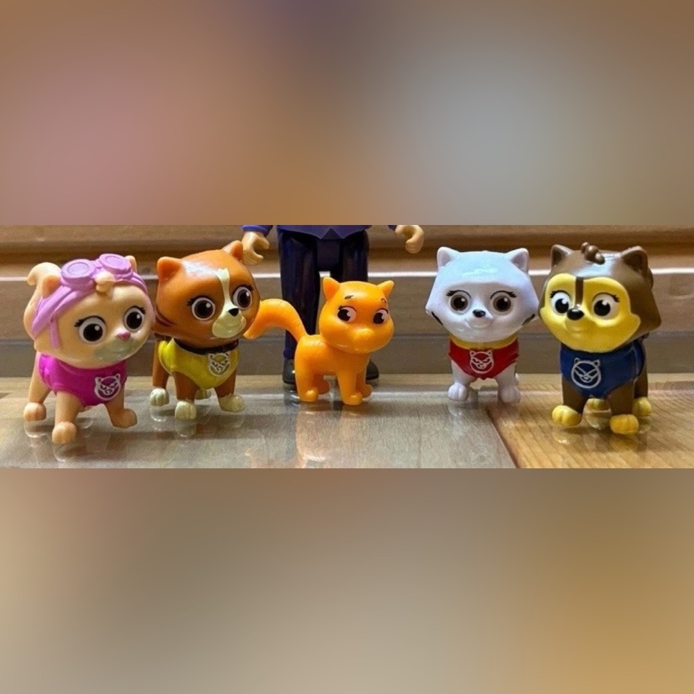 Paw Patrol catastrophe cats